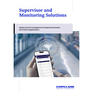 Supervisor and Monitoring