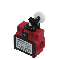 Limit switch with roller and plunger, plastic housing
